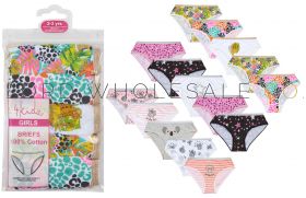 14c907 Younger Girls 5 Pack Briefs 12 Packs Of 5 Pairs